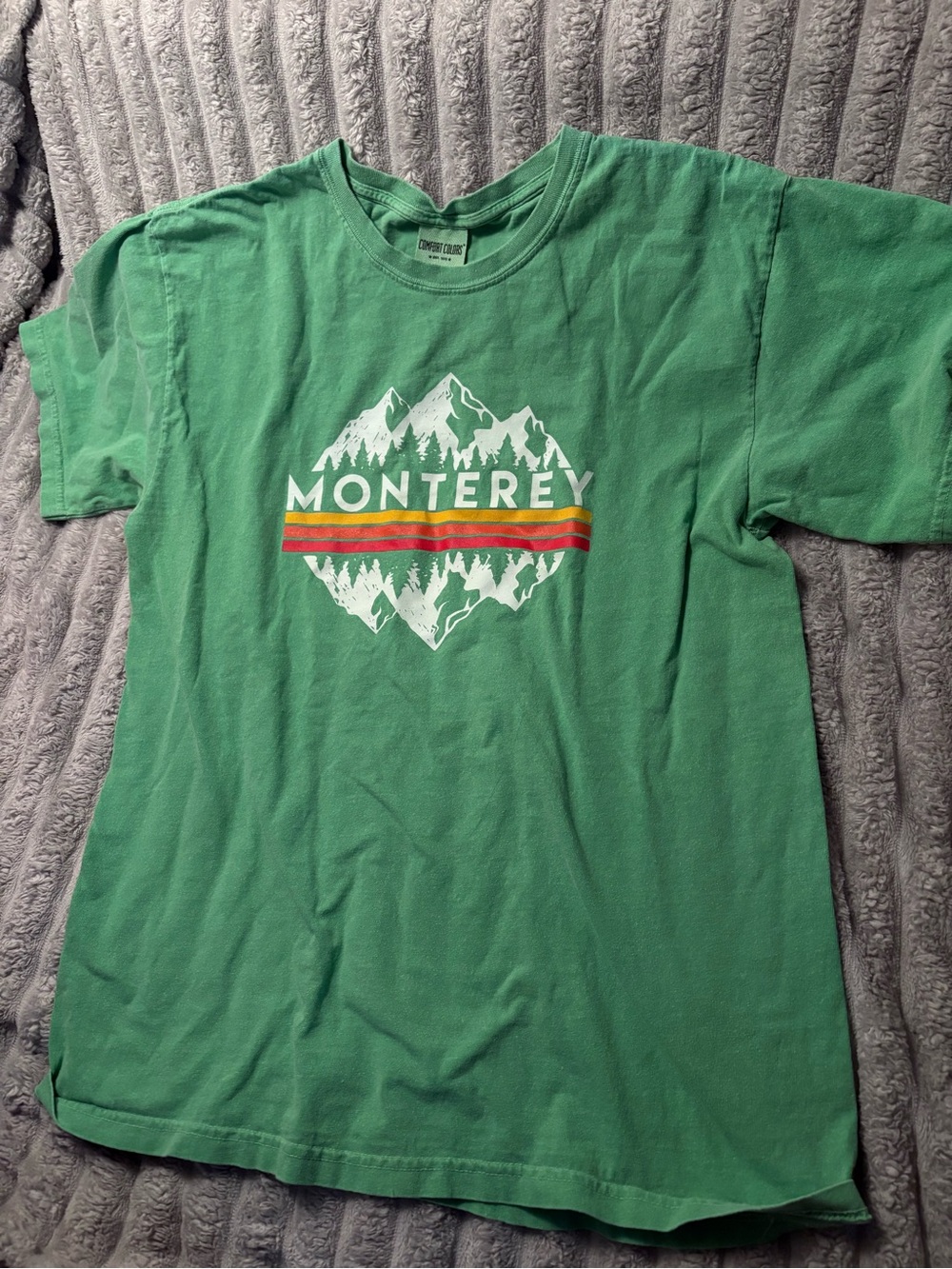 Comfort Colors Green Monterey Graphic Tee with Retro Stripe (100% COTTON)